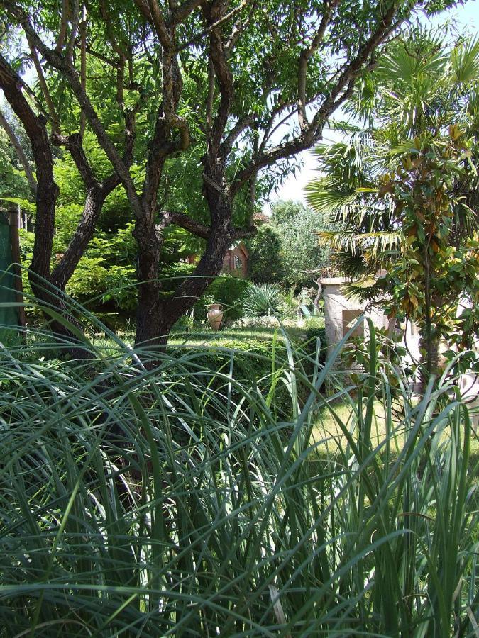 Bed and Breakfast Lou Pin Dou Papet Roquevaire Pokoj fotografie